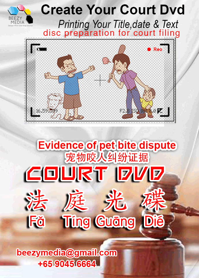Singapore CD-DVD-R disc preparation for court filing-+6590456664